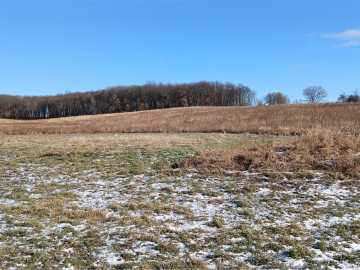 62 Acres 82nd Street, Bloomer