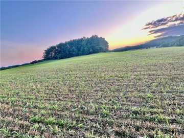 lot 1(4.99 Acres) 740th Avenue, Elk Mound