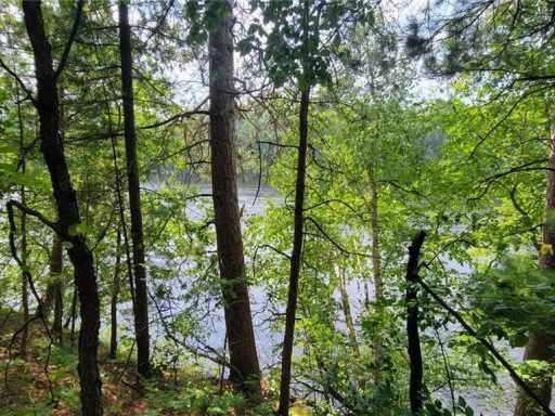 Lot 1 40th Avenue Chippewa Falls Property for Sale Woods